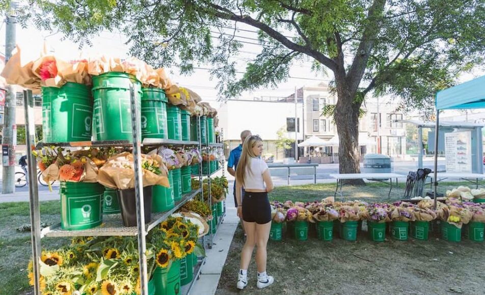 Toronto Flower Market