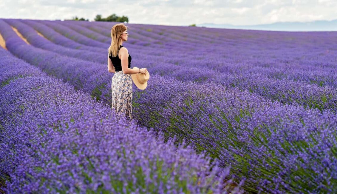 Avalon Lavender Farm