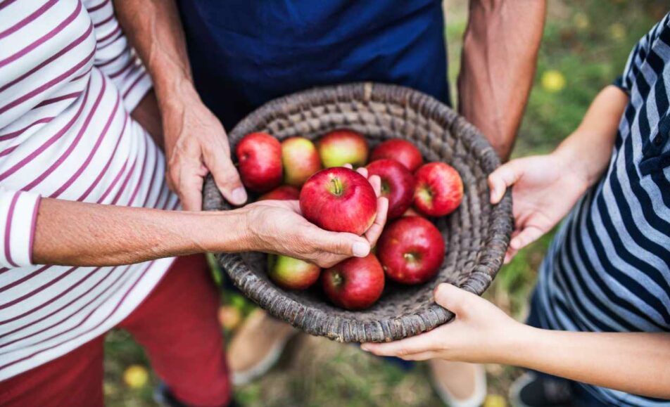 AppleFest